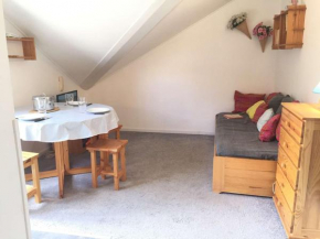 Studio Mezzanine 4 Pers, Proche Pistes et Commerces, Balcon Est, Animaux Bienvenus - FR-1-330-530